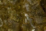 Gemmy Yellow Fluorite Cluster - Spain #327142-1